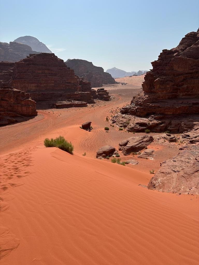 Bedouin Holidays Camp And Jeep Tours Wadi Rum Eksteriør bilde