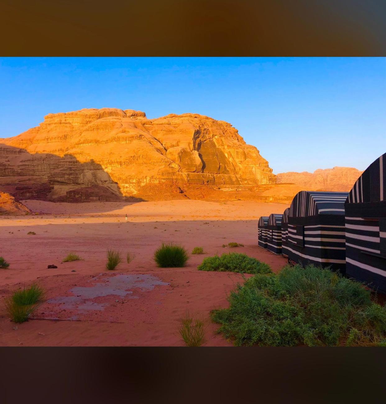 Bedouin Holidays Camp And Jeep Tours Wadi Rum Eksteriør bilde