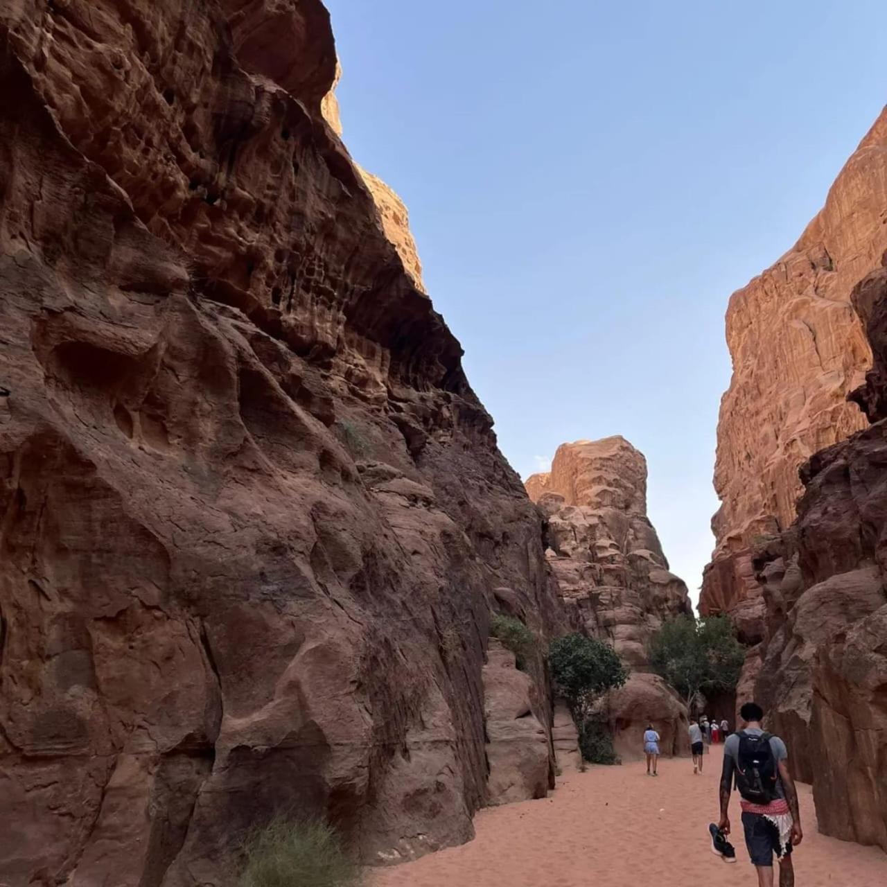 Bedouin Holidays Camp And Jeep Tours Wadi Rum Eksteriør bilde